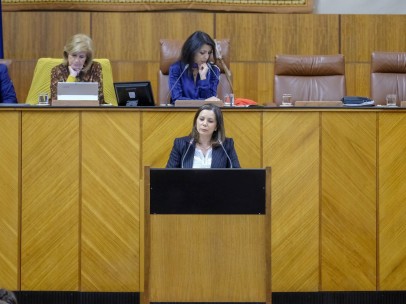 La portavoz adjunta de Vox y diputada en el Parlamento de Andalucía, Ángela Mulas.