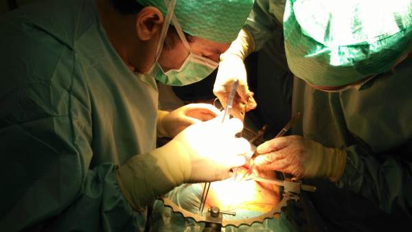 Trasplante operación quirófano donación órganos sector málaga médico salud sanid Trasplante operación quirófano donación órganos sector málaga médico salud sanid
