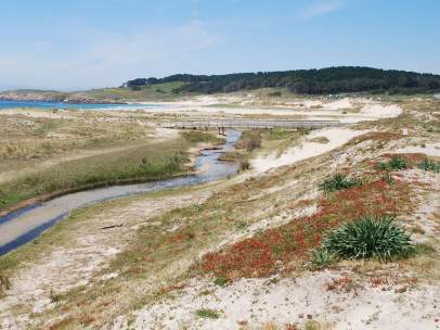 Ferrol