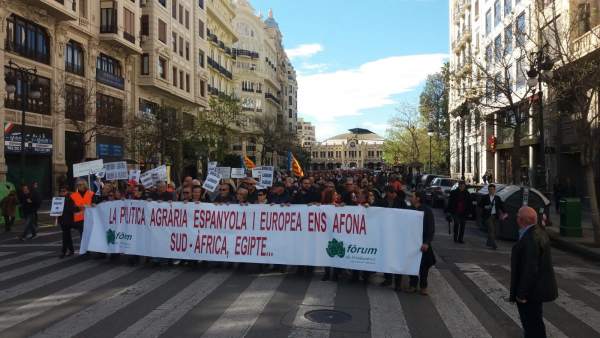 La citricultura valenciana demana “respecte” a Europa La citricultura valenciana demana “respecte” a Europa