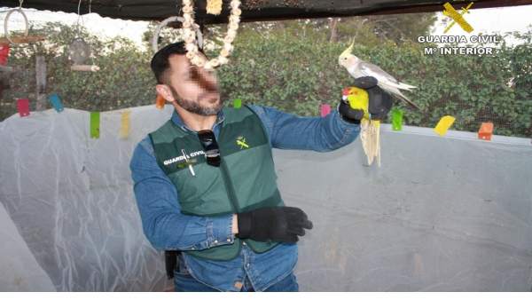 LA GUARDIA CIVIL DESARTICULA EN CREVILLENTE UN GRUPO CRIMINAL AL QUE SE LE IMPUT LA GUARDIA CIVIL DESARTICULA EN CREVILLENTE UN GRUPO CRIMINAL AL QUE SE LE IMPUT
