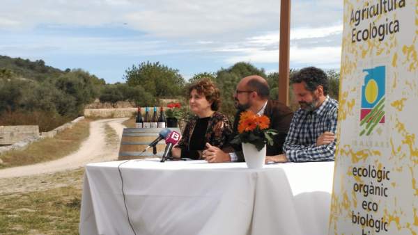 La superficie destinada a agricultura ecológica en Baleares aumenta casi un 11% La superficie destinada a agricultura ecológica en Baleares aumenta casi un 11%