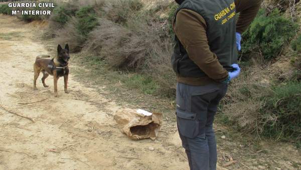 Sucesos.- La Guardia Civil investiga a una persona en Fraga por causar la muerte Sucesos.- La Guardia Civil investiga a una persona en Fraga por causar la muerte