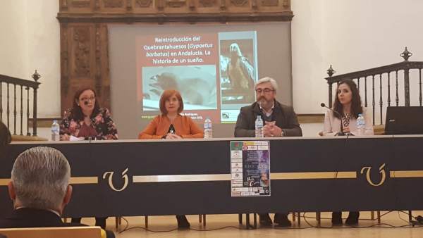 Jaén.- Arrancan en Úbeda las X Jornadas de Ciencia para Tod@s con previsión de r Jaén.- Arrancan en Úbeda las X Jornadas de Ciencia para Tod@s con previsión de r