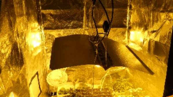 Detenido un joven por cultivar marihuana en un domicilio de Viveiro (Lugo), desc Detenido un joven por cultivar marihuana en un domicilio de Viveiro (Lugo), desc