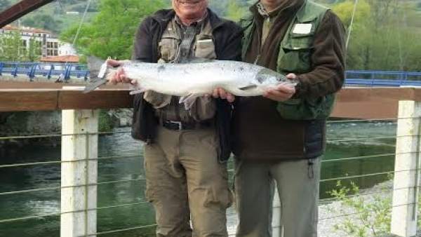 El 'campanu' de 2019 pesa cinco kilos y fue pescado en el río Cares El 'campanu' de 2019 pesa cinco kilos y fue pescado en el río Cares