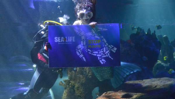 Málaga.- El Sea Life Benalmádena propone una nueva actividad para una mayor concienciación ambiental Málaga.- El Sea Life Benalmádena propone una nueva actividad para una mayor concienciación ambiental
