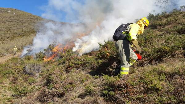 Ingenieros técnicos forestales reclaman más medidas de prevención ante incendios forestales Ingenieros técnicos forestales reclaman más medidas de prevención ante incendios forestales