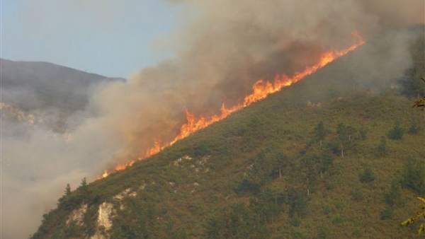 Rural.- La Coordinadora Ecologista pide la dimisión del secretario de UCA tras ser condenado por incendiar un monte Rural.- La Coordinadora Ecologista pide la dimisión del secretario de UCA tras ser condenado por incendiar un monte
