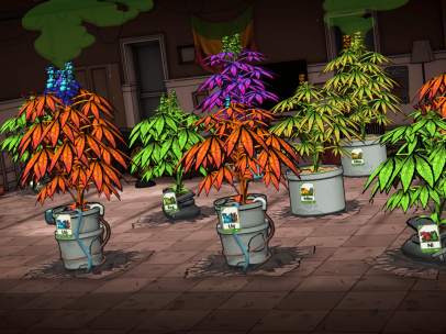Weedcraft Inc