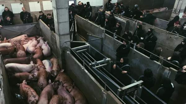 Sucesos.- Desalojados 126 ecologistas por ocupar un matadero en Riudellots de la Selva (Girona) Sucesos.- Desalojados 126 ecologistas por ocupar un matadero en Riudellots de la Selva (Girona)