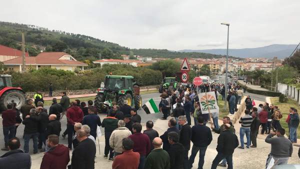 Agricultores se concentran en Jaraíz de la Vera para reclamar a las industrias una subida de precios para el pimentón Agricultores se concentran en Jaraíz de la Vera para reclamar a las industrias una subida de precios para el pimentón