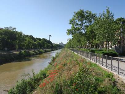 Río Manzanares