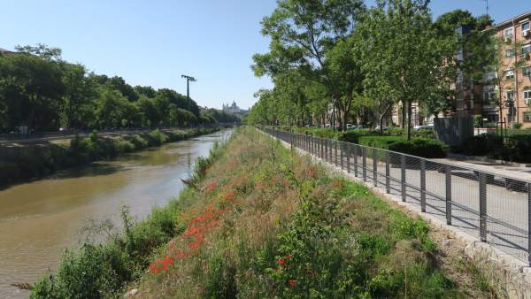 Río Manzanares Río Manzanares
