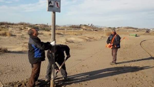 El Delta del Ebro delimita áreas para que las aves puedan reproducirse sin disturbios humanos El Delta del Ebro delimita áreas para que las aves puedan reproducirse sin disturbios humanos