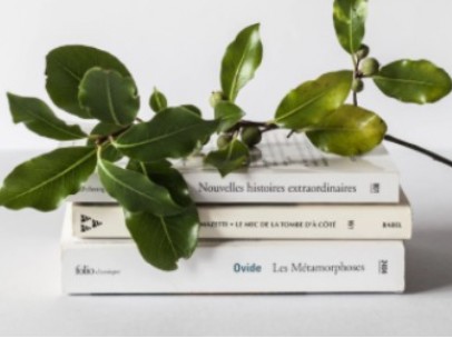 Libros - Mes del Libro