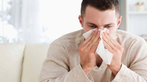 Investigadores españoles demuestran los mecanismos que llevan de alergia respiratoria a alimentaria Investigadores españoles demuestran los mecanismos que llevan de alergia respiratoria a alimentaria