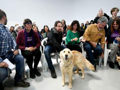 VÍDEO: Iglesias promete endurecer Código Penal para que no salga 'barato' maltratar animales, e incluirá a los salvajes