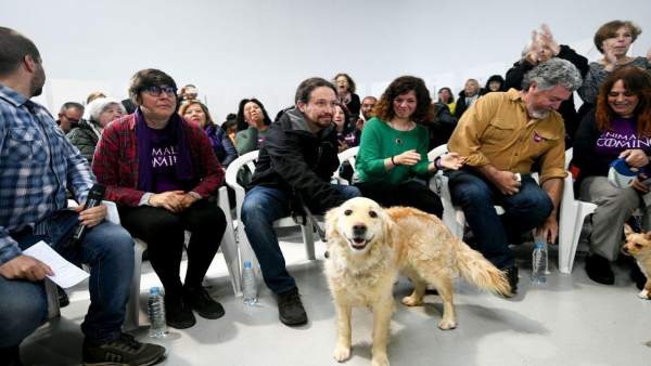 VÍDEO: Iglesias promete endurecer Código Penal para que no salga 'barato' maltratar animales, e incluirá a los salvajes VÍDEO: Iglesias promete endurecer Código Penal para que no salga 'barato' maltratar animales, e incluirá a los salvajes