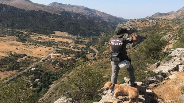 UNIDAD CANINA DE RESCATE Y SALVAMENTO UCAS DE ARRATE Desaparecidos UNIDAD CANINA DE RESCATE Y SALVAMENTO UCAS DE ARRATE Desaparecidos