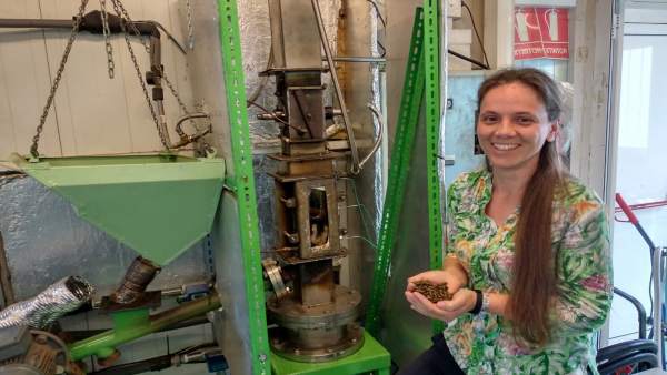 Rural.- Estudian el aprovechamiento de restos de la vid, matorral y kiwi para combustible Rural.- Estudian el aprovechamiento de restos de la vid, matorral y kiwi para combustible