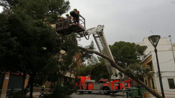 El temporal provoca caídas de árboles, bloqueos de vehículos por agua y más de 180 intervenciones en Alicante El temporal provoca caídas de árboles, bloqueos de vehículos por agua y más de 180 intervenciones en Alicante