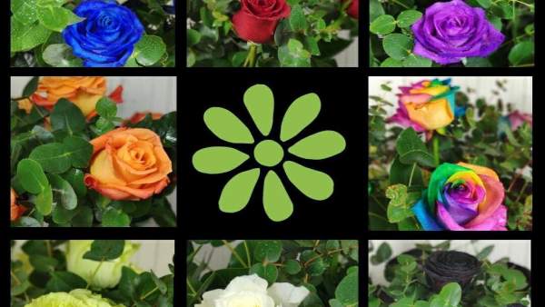 Una floristería valenciana lanza en campaña ramos únicos que representan a partidos políticos Una floristería valenciana lanza en campaña ramos únicos que representan a partidos políticos