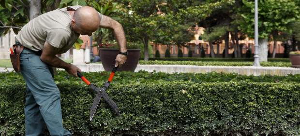 El INAEM convoca ayudas para favorecer la inserción laboral de personas con discapacidad o en riesgo de exclusión