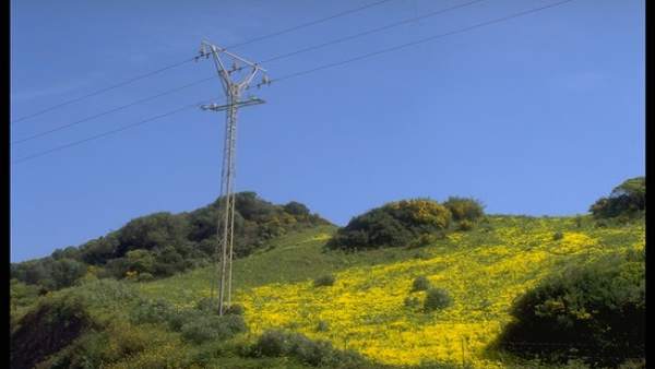 Cádiz.- Endesa invierte 150.000 euros en actuaciones para robustecer el suministro eléctrico en Los Barrios Cádiz.- Endesa invierte 150.000 euros en actuaciones para robustecer el suministro eléctrico en Los Barrios