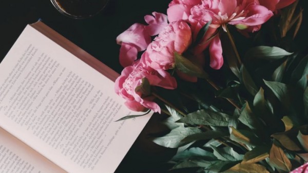 Libros y flores para Sant Jordi Libros y flores para Sant Jordi