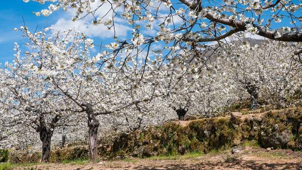 Extremadura centra su promoción en la B-Travel de Barcelona en ciudades monumentales o gastronomía Extremadura centra su promoción en la B-Travel de Barcelona en ciudades monumentales o gastronomía