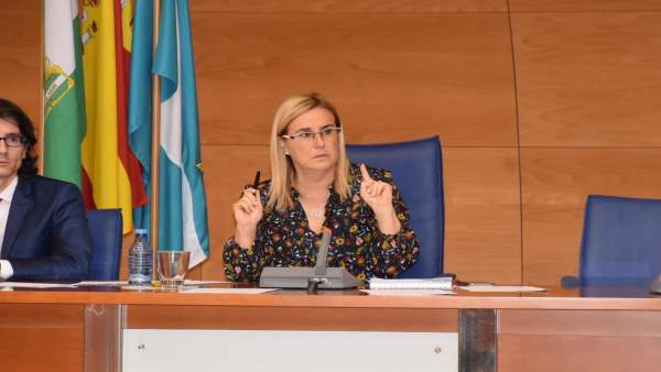 Málaga.- Pleno de Fuengirola aprueba el Plan Municipal de Calidad Turística que marcará la estrategia de la ciudad Málaga.- Pleno de Fuengirola aprueba el Plan Municipal de Calidad Turística que marcará la estrategia de la ciudad