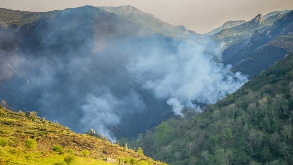 Sofocados cuatro incendios en Vega de Pas, Valdáliga y Soba Sofocados cuatro incendios en Vega de Pas, Valdáliga y Soba