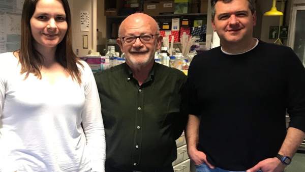 Granada.- Científicos identifican cómo los exosomas del parásito que provoca el Chagas alteran a las células cardíacas Granada.- Científicos identifican cómo los exosomas del parásito que provoca el Chagas alteran a las células cardíacas