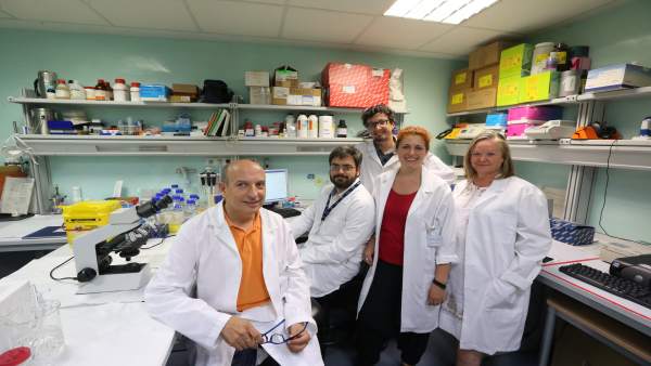 Andalucía.-Ibima lidera un proyecto para investigar cómo el alcohol o la cocaína influyen sobre trastornos psiquiátricos Andalucía.-Ibima lidera un proyecto para investigar cómo el alcohol o la cocaína influyen sobre trastornos psiquiátricos
