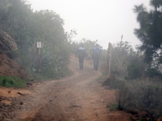 Agentes de la Guardia Civil y la Policía Local en el municipio de Adeje, al sur de la isla de Tenerife.