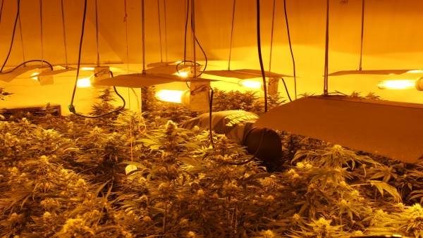 Granada.- Sucesos.- Diez investigados en una nueva operación por cultivo de marihuana en Pinos Puente Granada.- Sucesos.- Diez investigados en una nueva operación por cultivo de marihuana en Pinos Puente