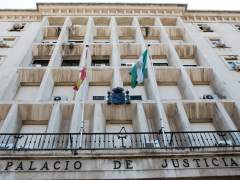 Condenan a dos años de prisión a un hombre por posesión y distribución de pornografía infantil en Sevilla