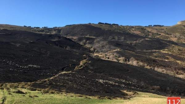 Revilla asegura que 'muchos vecinos han denunciado a pirómanos' en esta segunda oleada de incendios Revilla asegura que 'muchos vecinos han denunciado a pirómanos' en esta segunda oleada de incendios