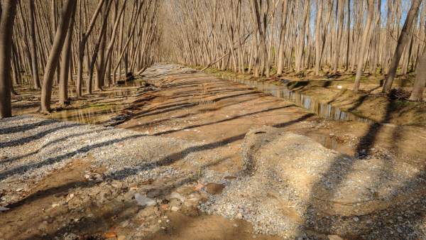 Granada.- La Junta destina cerca de cinco millones para caminos rurales de la provincia Granada.- La Junta destina cerca de cinco millones para caminos rurales de la provincia