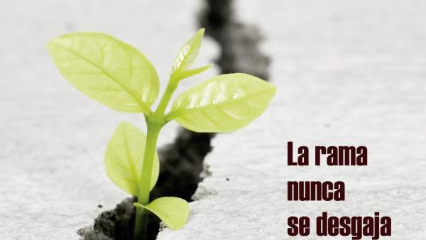 Alberto Caride presenta 'La rama nunca se desgaja limpia del leño' este lunes en El Sur Alberto Caride presenta 'La rama nunca se desgaja limpia del leño' este lunes en El Sur