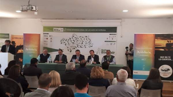 Sevilla.- Arranca la VI Feria de las Aves de Doñana con ponencias, talleres, rutas y un concurso de fotografía Sevilla.- Arranca la VI Feria de las Aves de Doñana con ponencias, talleres, rutas y un concurso de fotografía