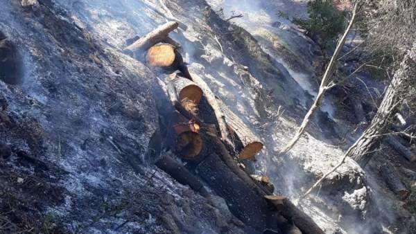 Málaga.- Sucesos.- Declarado un incendio agrícola en Yunquera Málaga.- Sucesos.- Declarado un incendio agrícola en Yunquera