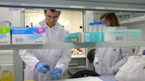 Granada.- Nueve de cada diez calcetines para bebés contienen restos de bisfenol-A y parabenos, según un estudio Granada.- Nueve de cada diez calcetines para bebés contienen restos de bisfenol-A y parabenos, según un estudio