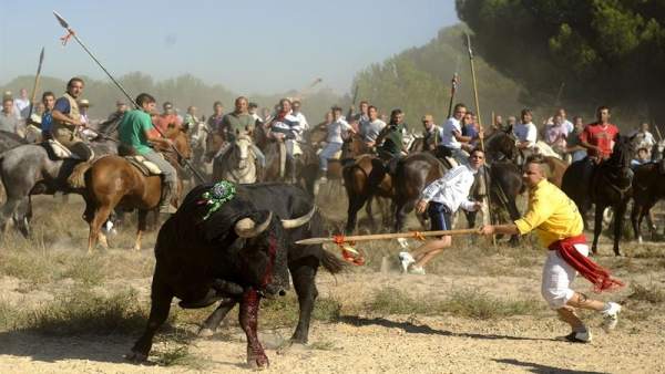 El Suprem inadmet el recurs contra el decret de la Junta que va prohibir la mort del Toro de la Vega El Suprem inadmet el recurs contra el decret de la Junta que va prohibir la mort del Toro de la Vega