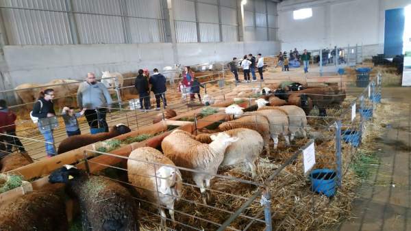 Zaragoza.- Guillén subraya en Épila la apuesta de Aragón por la agroindustria para asentar población en el medio rural Zaragoza.- Guillén subraya en Épila la apuesta de Aragón por la agroindustria para asentar población en el medio rural