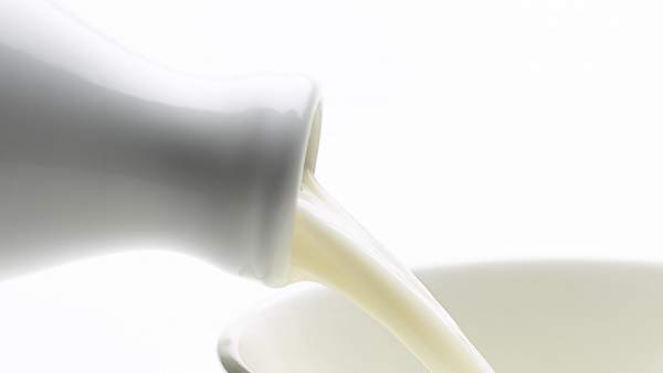 Leche Leche