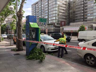 Herido un taxista al caerle una gran rama de un árbol en la calle Princesa