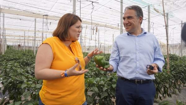 Málaga.- 26M.- Bendodo asegura que el PP quiere convertir la Axarquía en un 'referente turístico y agrícola' Málaga.- 26M.- Bendodo asegura que el PP quiere convertir la Axarquía en un 'referente turístico y agrícola'