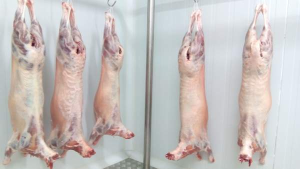 Canales de carne Canales de carne